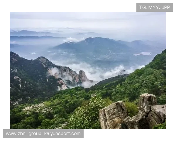 山东泰山通过内外结合完成漂亮推进